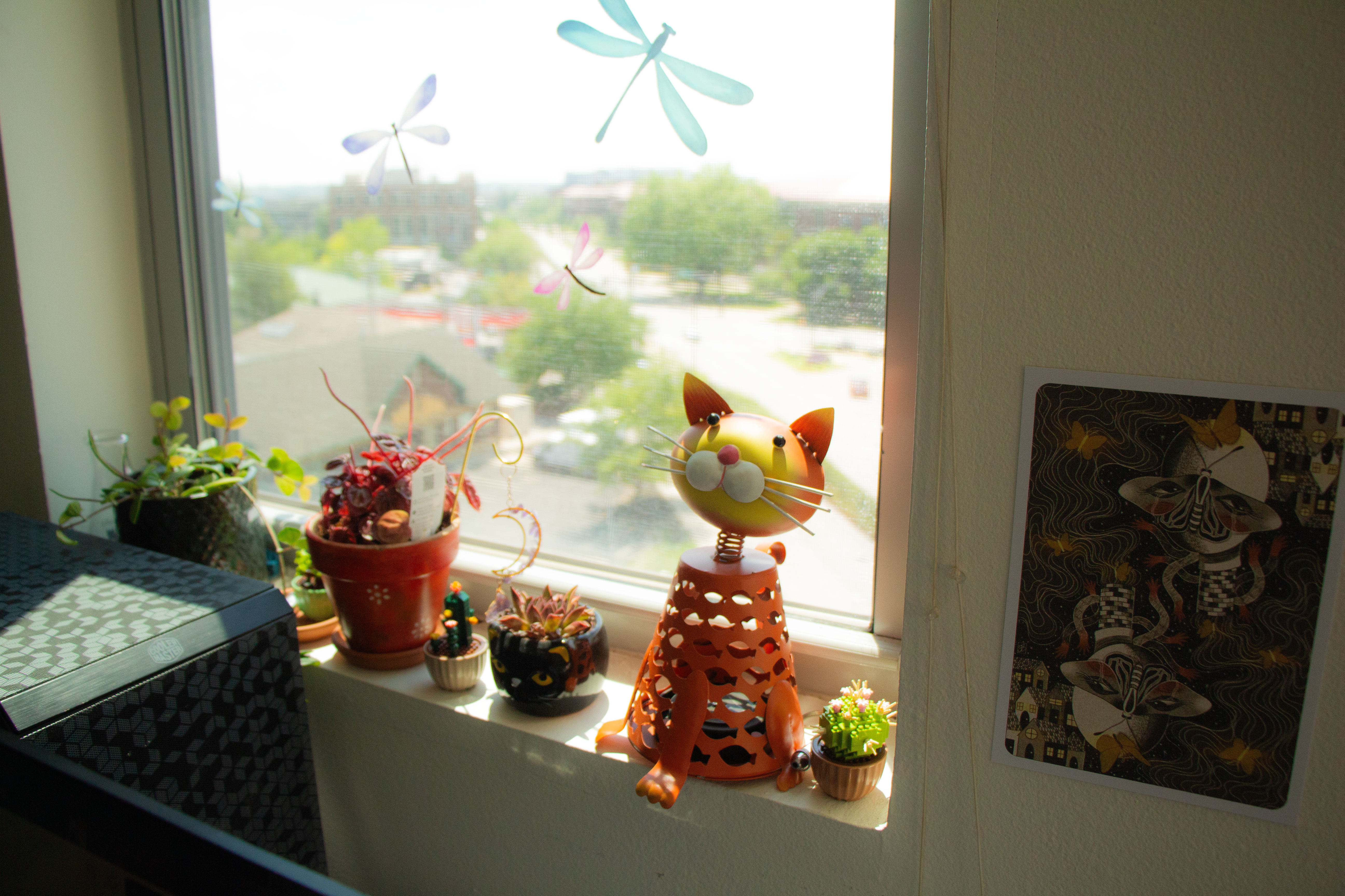 Window Scene, May, 2026